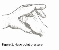 The effect of Hugo point pressure on postpartum pain in multiparous women