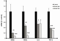 Expression of inflammatory markers and NMDA receptors in the peripheral blood of stroke patients