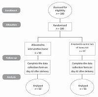 Investigation of the effect of postpartum home visit intervention on promoting mothers’ exclusive breastfeeding in Falavarjan, Isfahan Province: clinical trial research